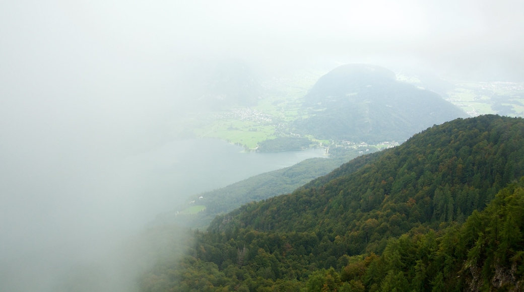 Triglav National Park which includes forests, a lake or waterhole and mist or fog