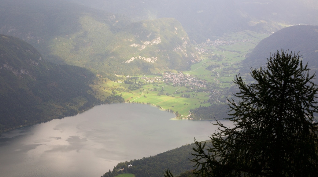 Parco Nazionale di Triglav mostrando nebbia e foschia, piccola città o villaggio e foresta