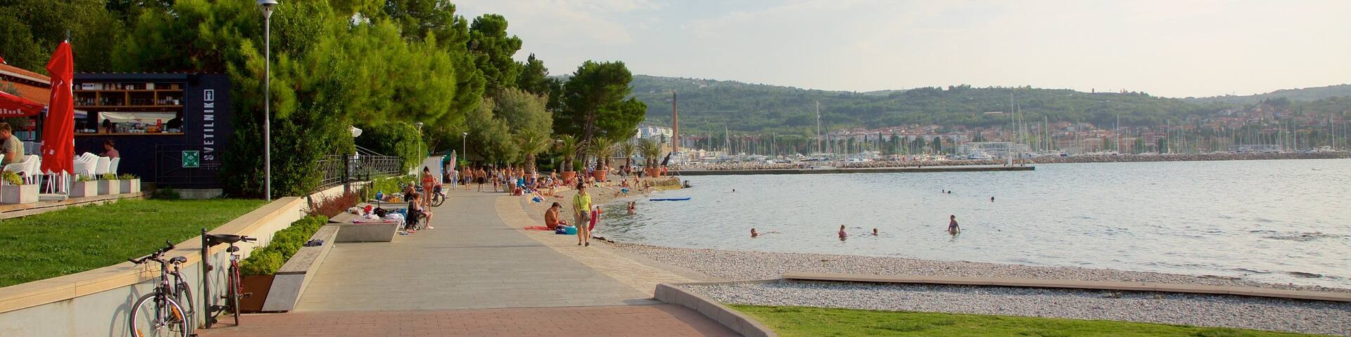 Lighthouse Park which includes a coastal town, general coastal views and swimming