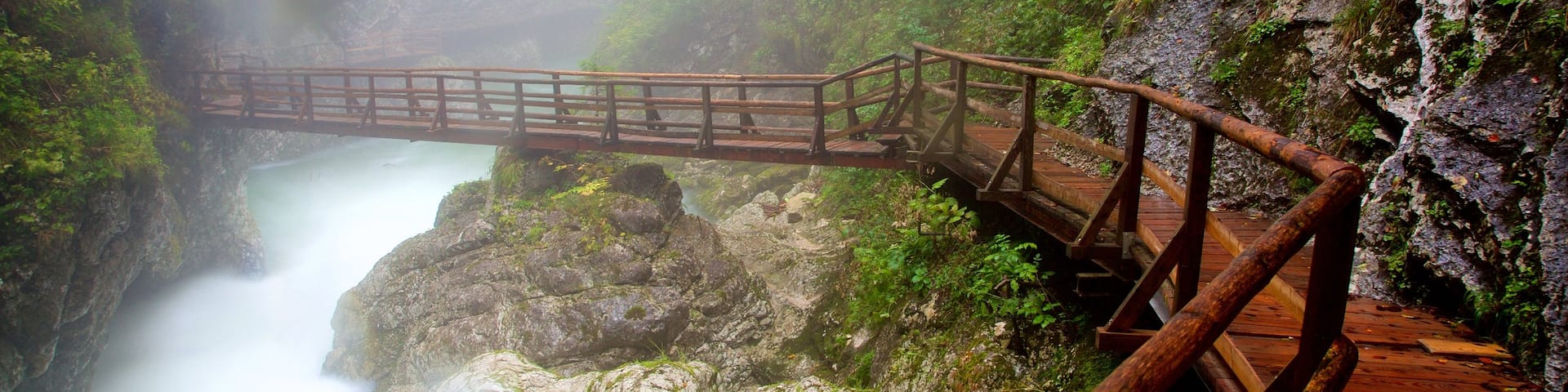 Desfiladero de Vintgar ofreciendo un barranco o cañón, un puente y neblina o niebla