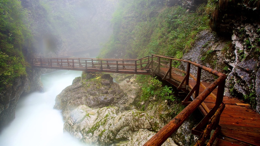 Vintgar Gorge qui includes gorge ou canyon, pont et brume ou brouillard