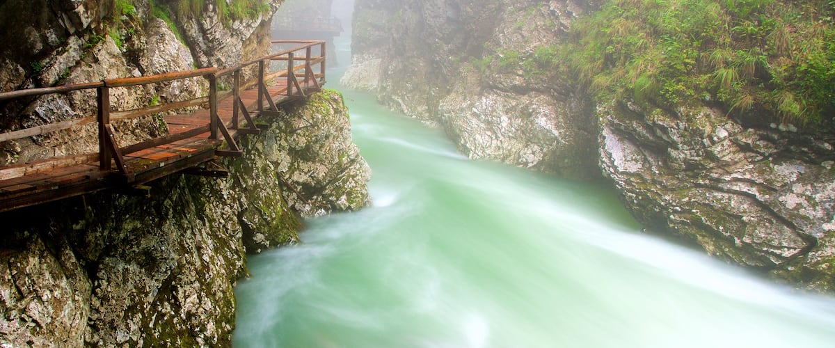 Desfiladero de Vintgar mostrando neblina o niebla y un barranco o cañón