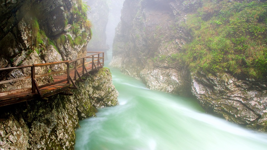 Vintgar Gorge featuring a gorge or canyon and mist or fog