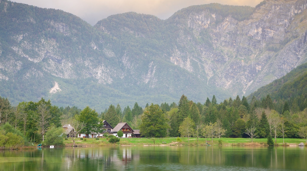 Bohinjmeer inclusief bossen, een meer of poel en een klein stadje of dorpje