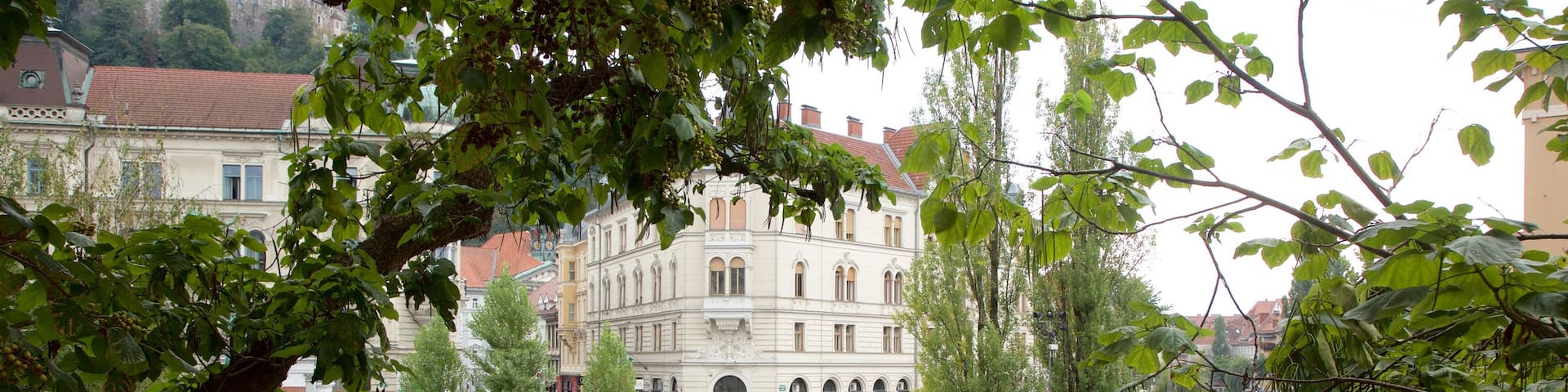 Preseren Square welches beinhaltet Platz oder Plaza sowie große Menschengruppe