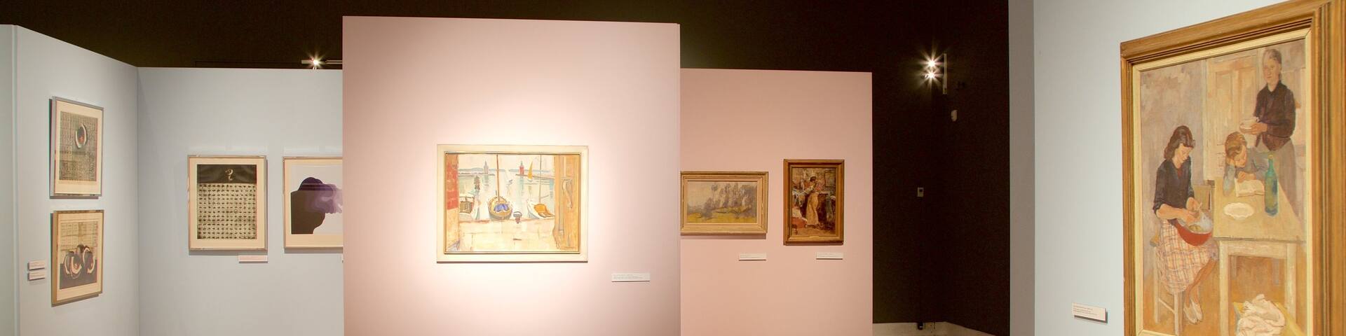 National Gallery of Slovenia which includes interior views