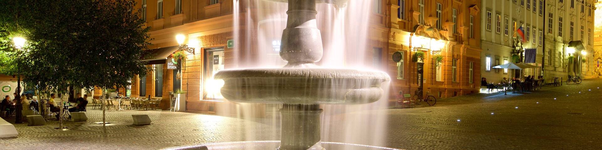 Robba Fountain which includes night scenes and a fountain