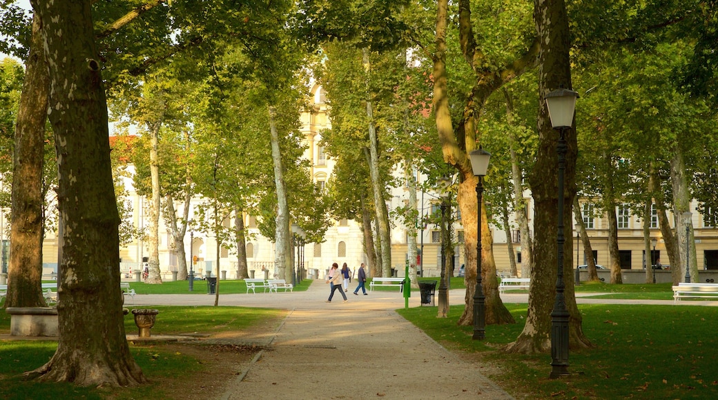 Congress Square featuring a park