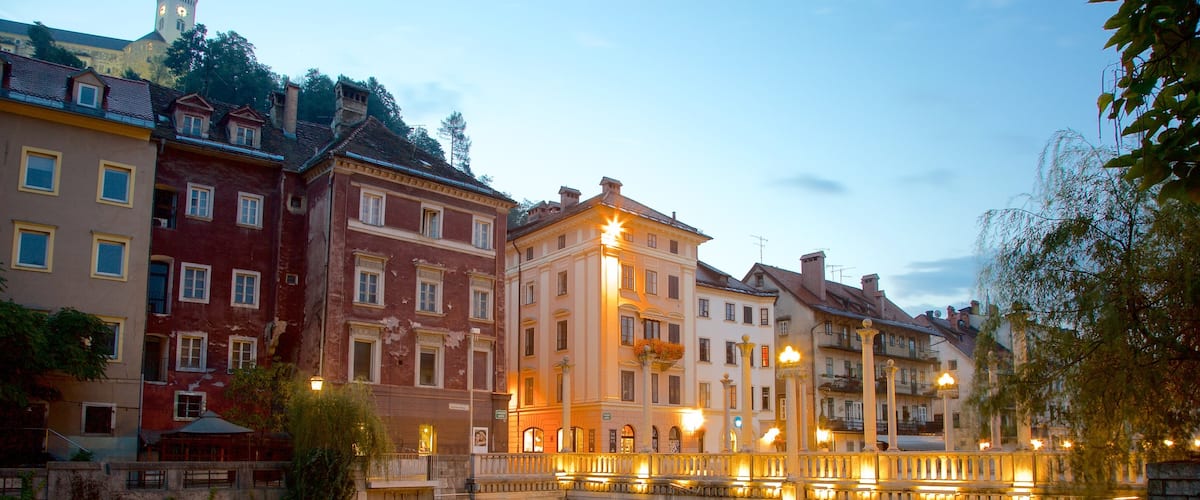 Ljubljana bevat nachtleven en een brug
