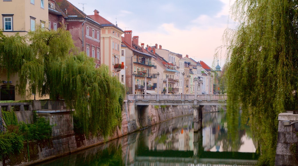 Ljubljana joka esittää joki tai puro ja silta