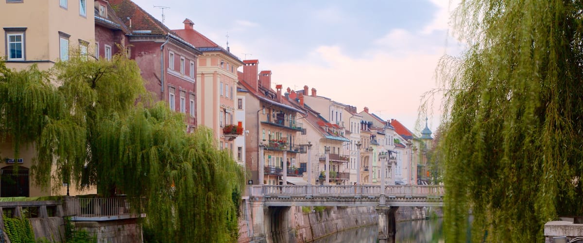 Cobbler\'s Bridge which includes a bridge and a river or creek