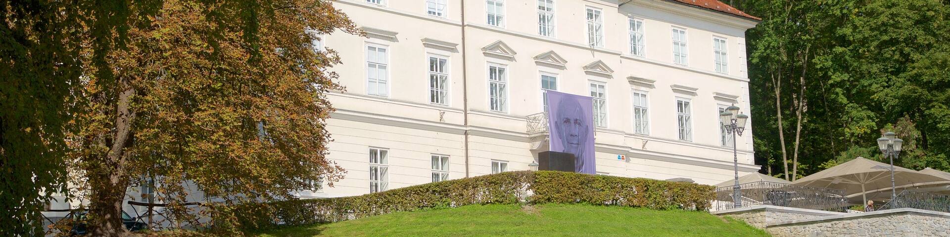 Ljubljana showing a park