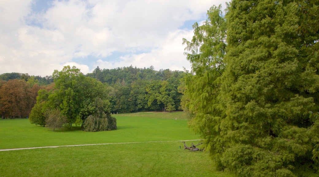 Ljubljana som visar en trädgård