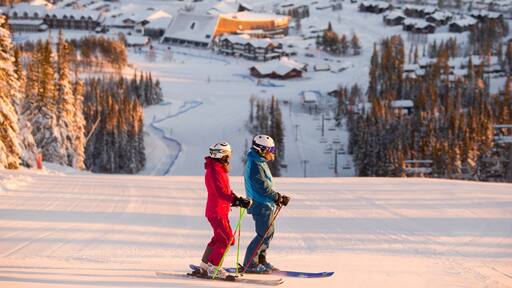 Sälen som visar snö, en liten stad eller by och utförsåkning