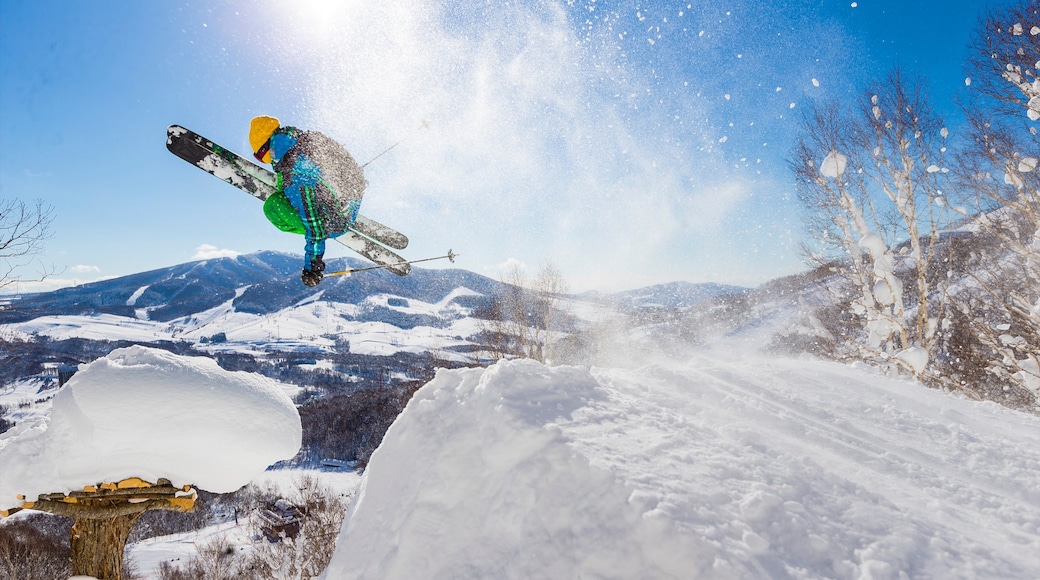 Rusutsu Resort featuring snow and snow skiing