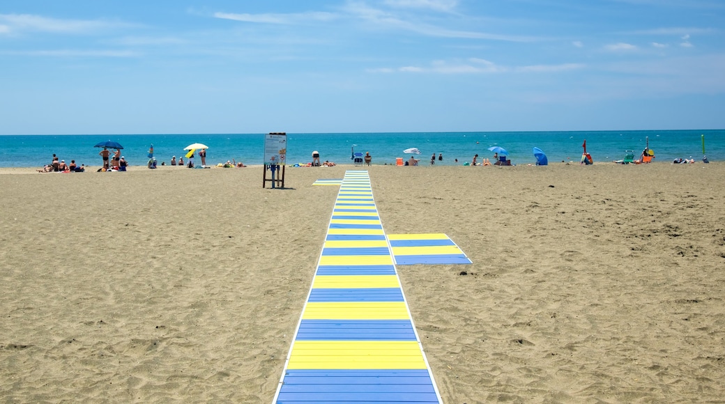 Tarquinia showing a sandy beach