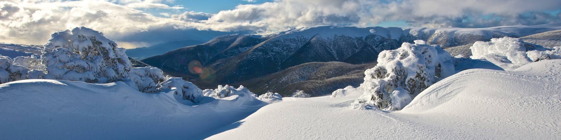 Falls Creek montrant neige