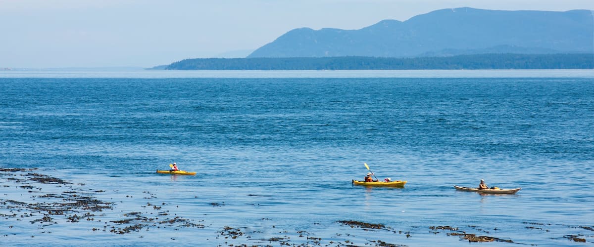 Pender Island showing general coastal views and kayaking or canoeing