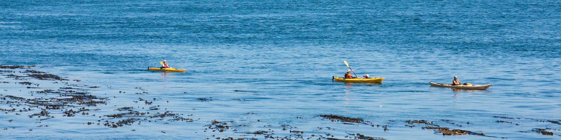 Pender Island which includes kayaking or canoeing and general coastal views