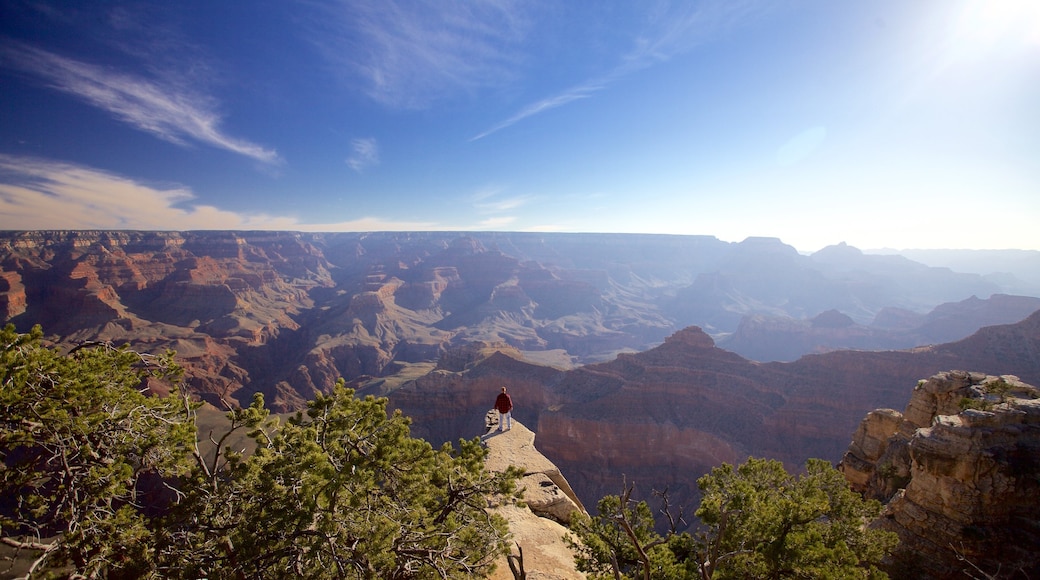 Grand Canyon which includes a gorge or canyon, landscape views and views