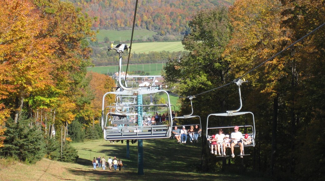 Photo provided by Ellicottville Chamber of Commerce