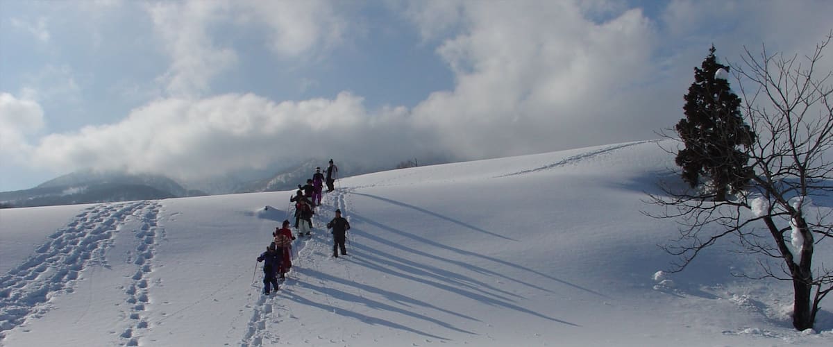 Myoko showing snow shoeing and snow as well as a small group of people