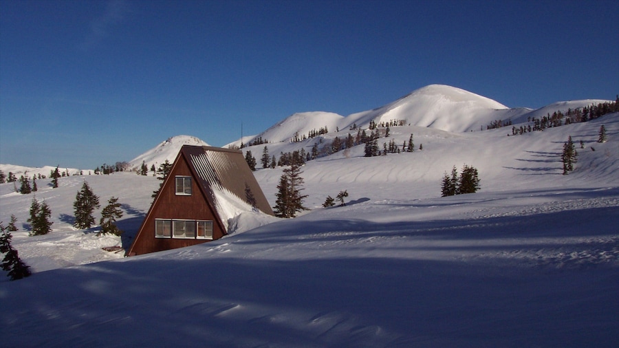 Myoko que incluye una casa y nieve