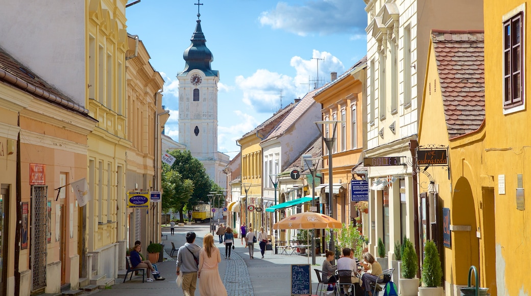 Pécs mostrando città, oggetti d\'epoca e strade