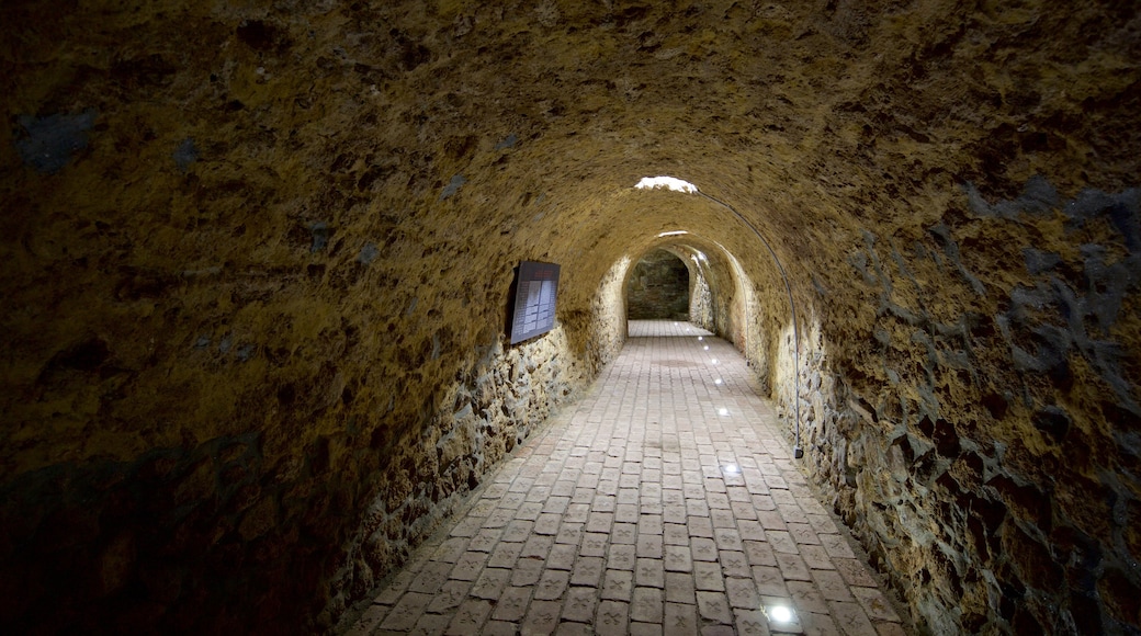 Pecs mostrando vistas internas, elementos de patrimônio e um castelo