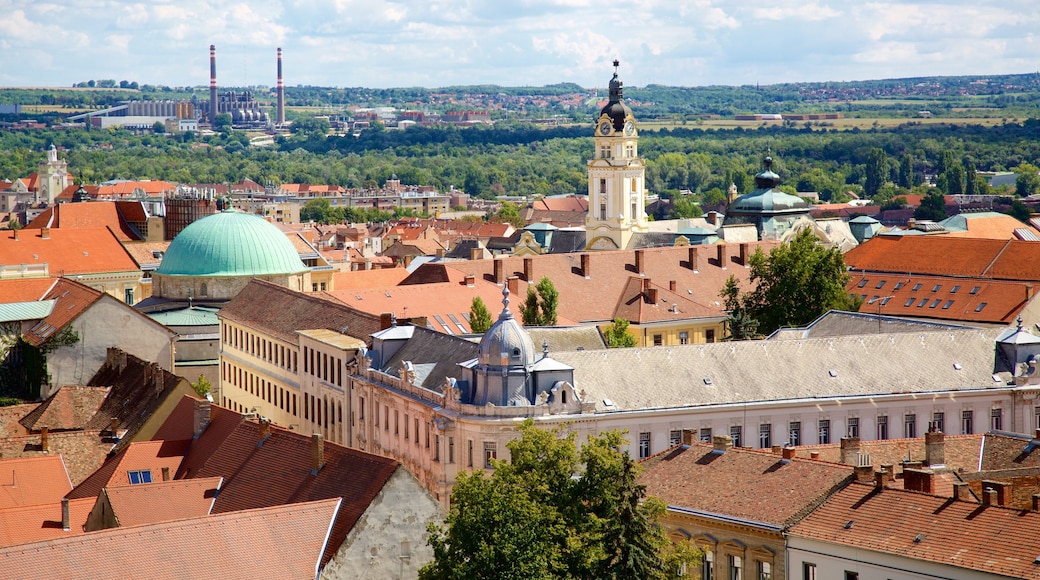 Pécs katedral presenterar en kyrka eller katedral och en stad