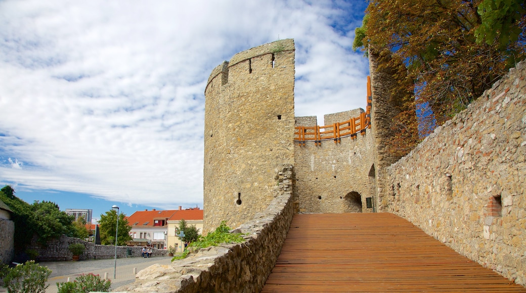 Pecs which includes heritage elements and a castle