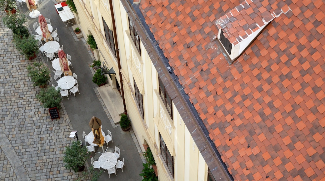 Sopron which includes café scenes