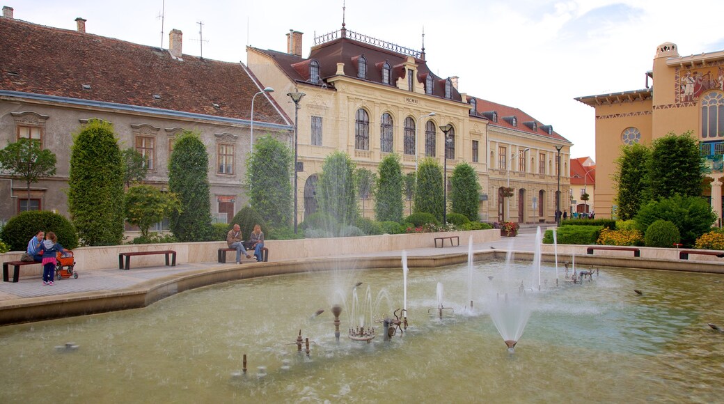 Sopron montrant scènes de théâtre, patrimoine architectural et fontaine
