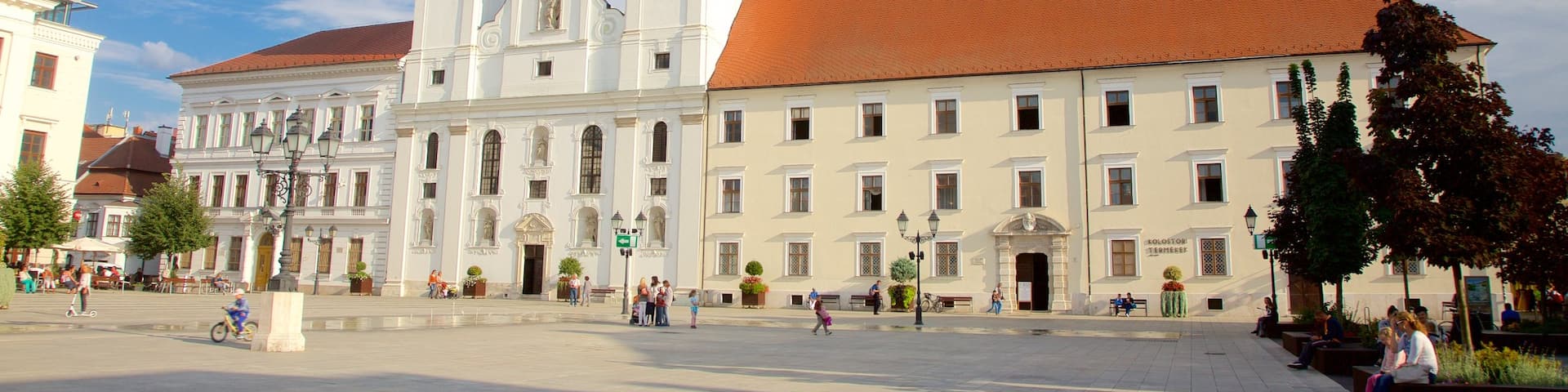 Gyor Benedictine Church showing a square or plaza, heritage architecture and a church or cathedral