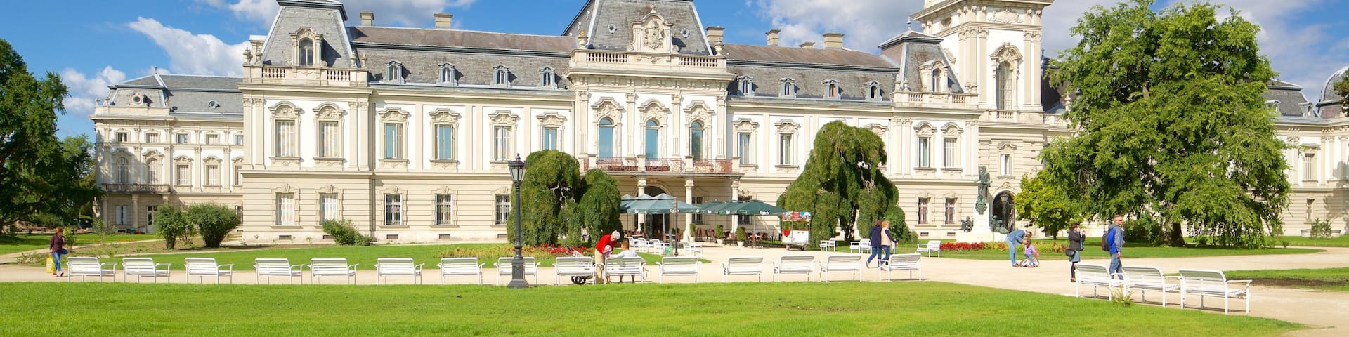 Festetics Palace featuring chateau or palace and heritage architecture