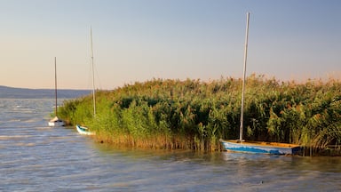 Siófok das einen Bucht oder Hafen und Sumpfgebiet