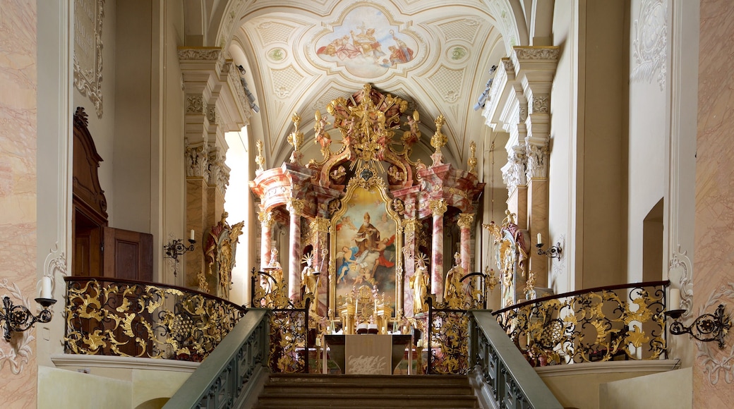 Tihany Abbey featuring a church or cathedral, religious aspects and interior views