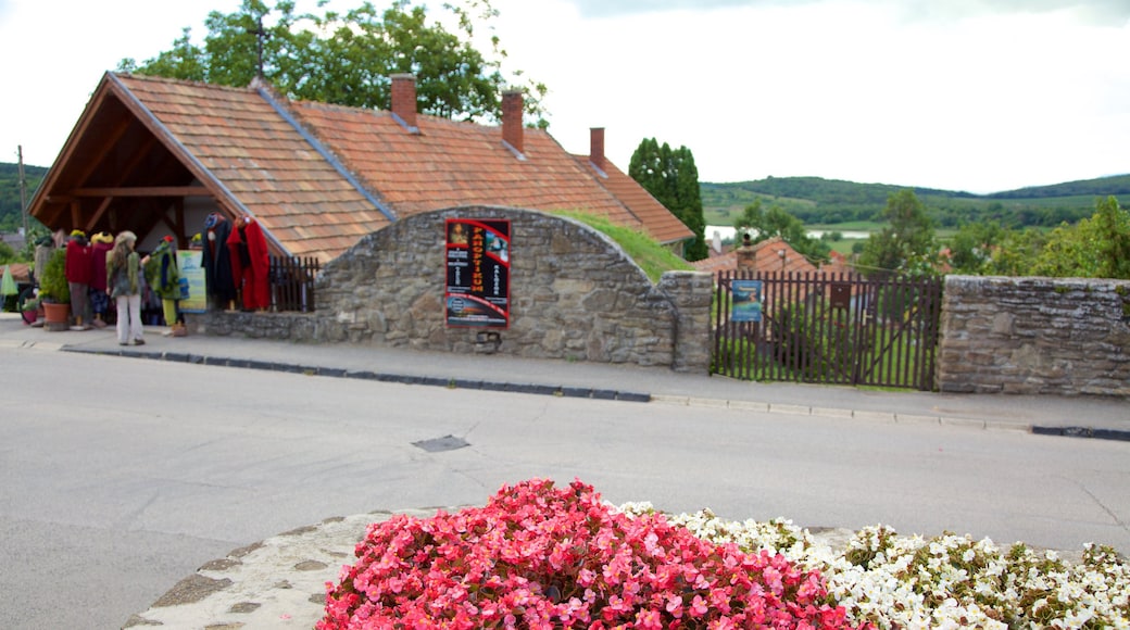 Tihany presenterar blommor