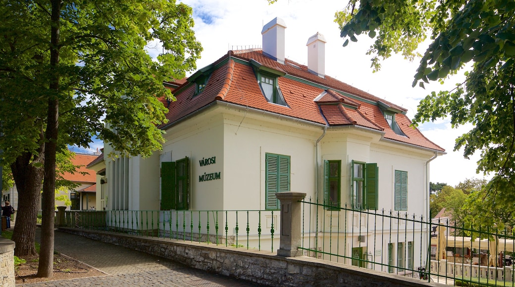 Balatonfured which includes general coastal views and signage