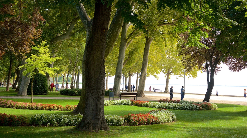 Balatonfured inclusief algemene kustgezichten, bloemen en een park