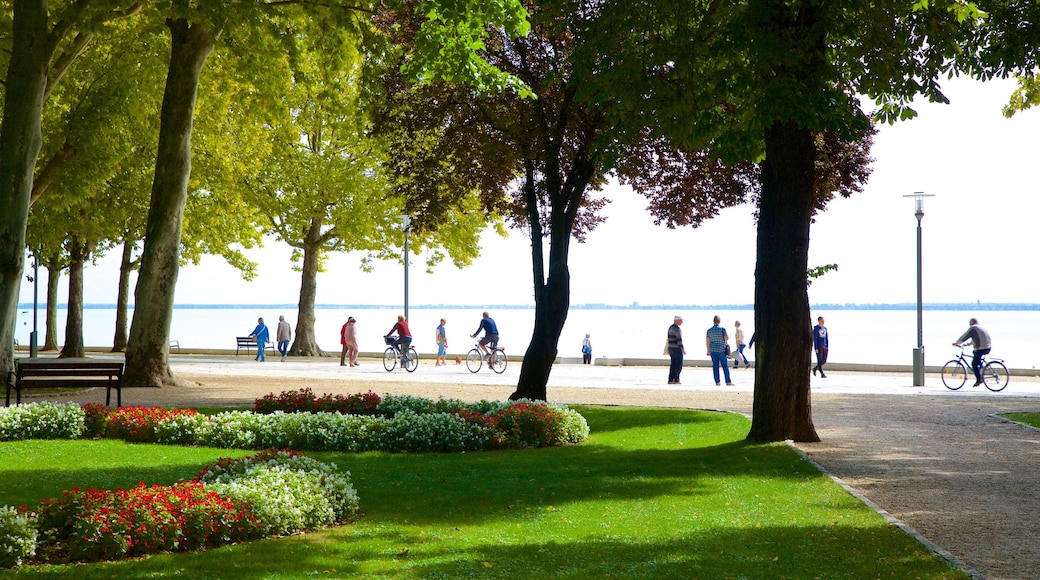 Balatonfüred que incluye ciclismo, vistas generales de la costa y flores