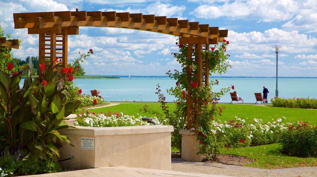 Balatonfüred mostrando flores, vistas generales de la costa y un parque