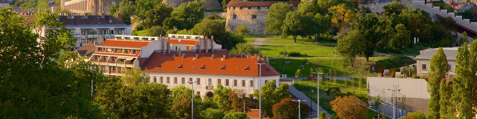 Burgpalast mit einem Palast oder Schloss, Garten und historische Architektur