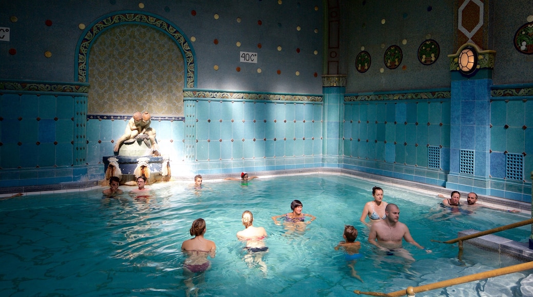 Gellert furdo , Budapest, Hungría ofreciendo vista interna, piscina y un día de spa