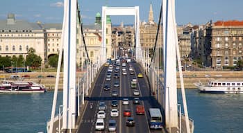 Ponte Elisabetta mostrando città, baia e porto e fiume o ruscello