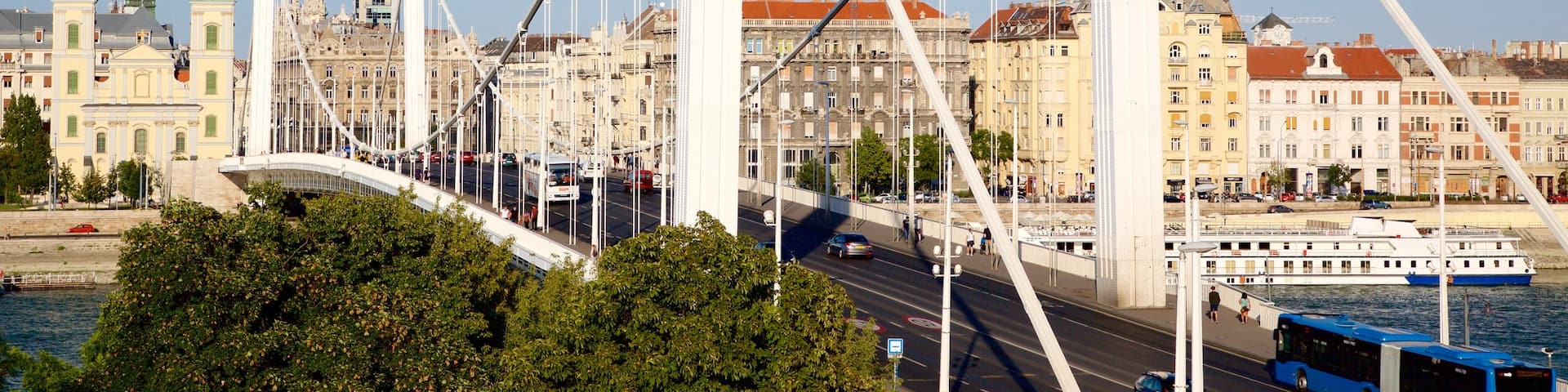 Elisabeth Bridge showing a suspension bridge or treetop walkway, a bay or harbor and a city