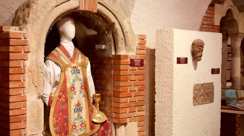 Abadía de Tihany mostrando vistas de interior, una iglesia o catedral y elementos religiosos