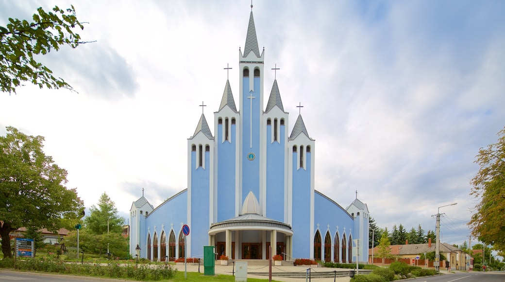 Roman Catholic Church of the Holy Spirit which includes religious elements, a church or cathedral and heritage architecture