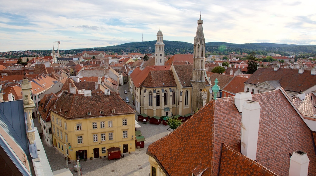 Sopron som inkluderar en stad och historisk arkitektur