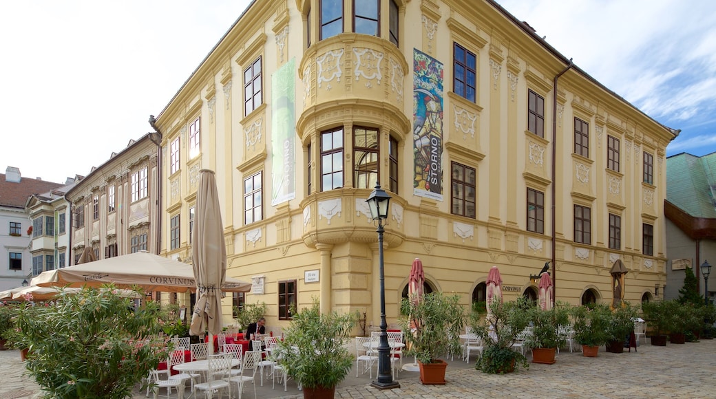 Sopron que incluye estilo de vida de café y patrimonio de arquitectura